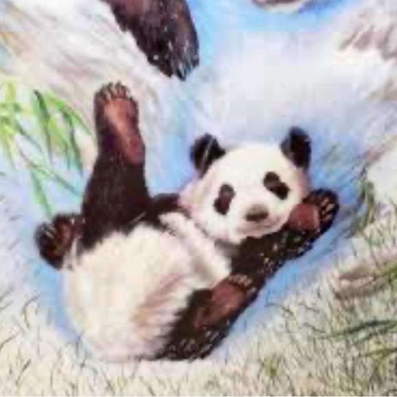 W L George Plates - The Secret World of the Panda - Picture 6 of 7